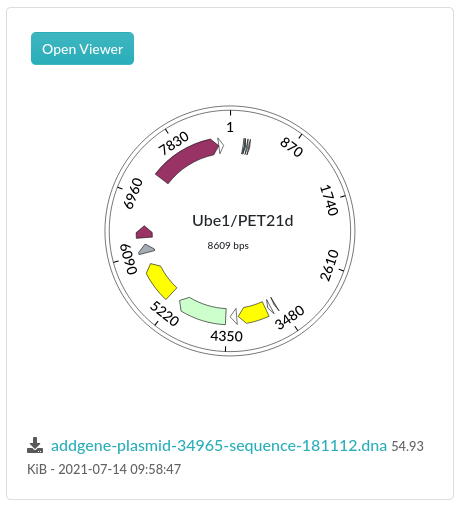 plasmid viewer